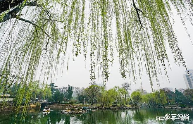 今天的农历天干地支是什么_天干五合 地支无刑冲害合_天干十二 地支十