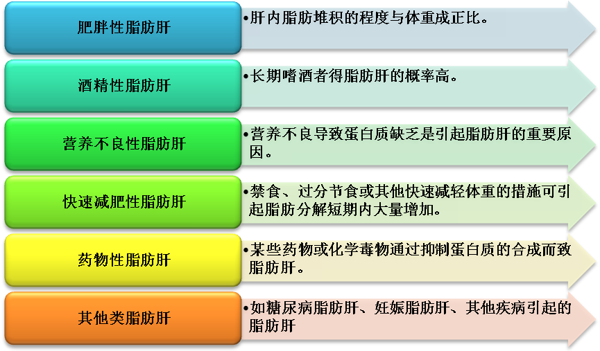 荤食素食饮食结构的优劣_9款低热量减肥食谱 荤素搭配健康瘦_食荤者全文阅读