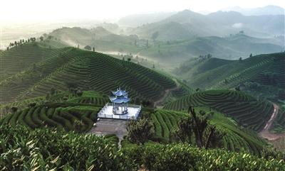 富春山居2017斗茶大会·拔山开茶节，将在富阳富春街道拔山村热闹开场