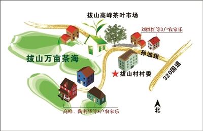 杭州梅家坞茶文化村_梅家坞与狮峰哪的茶好_梅家坞茶文化村买茶