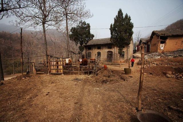 弟住东边哥住西边风水_农村住宅门前有树木风水_农村房子前大后小如何风水化解