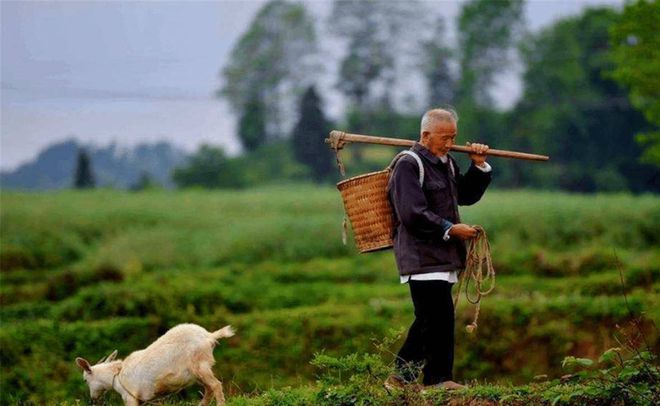 弟住东边哥住西边风水_农村住宅门前有树木风水_农村房子前大后小如何风水化解