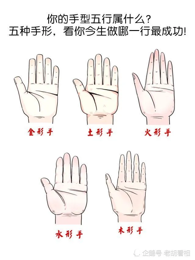 木形手的手相特征是什么?不同类型手相的特征解析