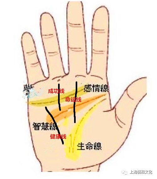 手相和面相准吗男_张敏鹏手相面相密码_手相面相不难