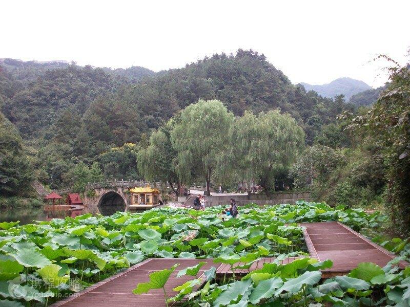 中国道家养生长寿术_中国道家养生术与太极_中国道家第一仙山是哪里