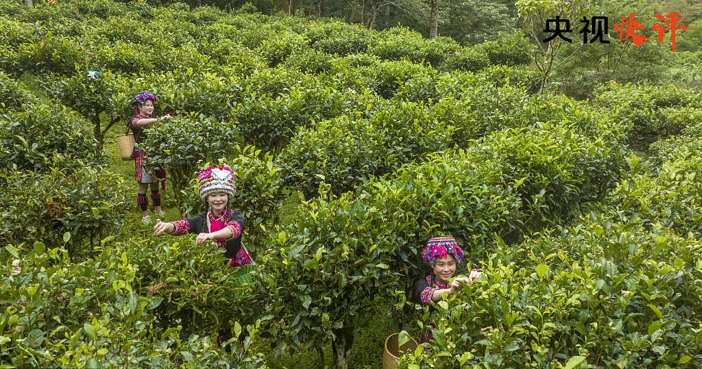 潮州传统小吃与潮州文化_植传统文化之根_守住传统文化的根作文