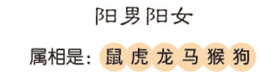 八字预测学八字命理 txt免费下载_八字命理疾病学吴铁军_命理八字教学