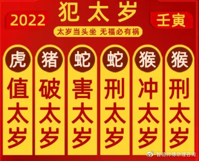 95年属猪五行纳音什么命_犯太岁2024生肖是什么_犯太岁2026