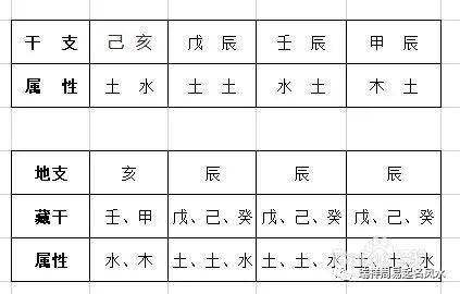 地支与五行八字算命网_八字测算天干地支_天干地支测八字