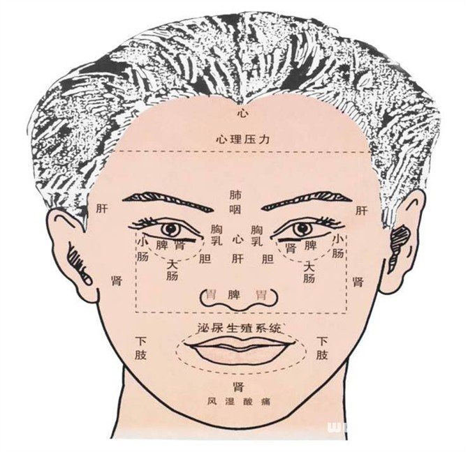 面部看相图解男的_男面部结构图_男人面部痣相最准图解大全