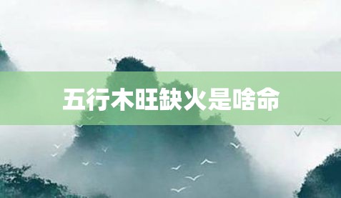 风水堂:五行木旺缺火怎么办