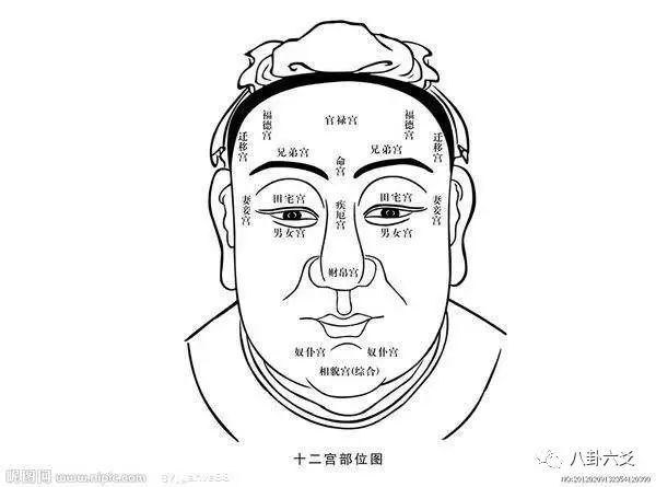 手相看人生图片_观人识人手相图解_人手相怎么看