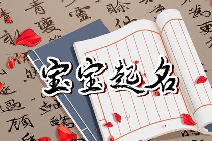 鸡年男宝宝取名宜用字_鸡年男宝宝起名八字_鸡男宝宝取名大全2017款