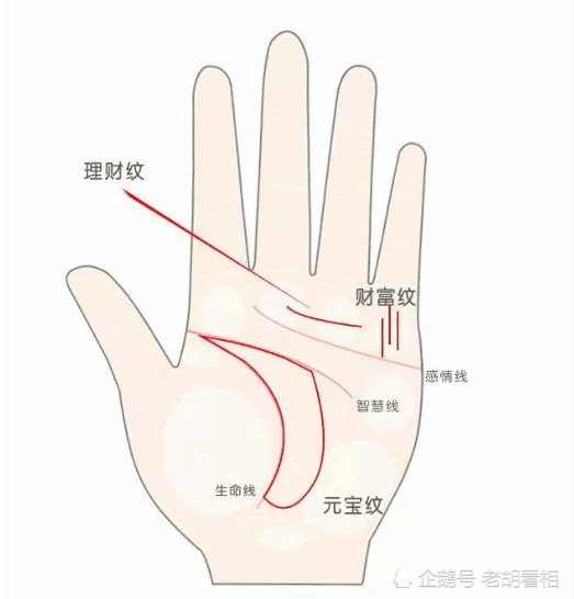 手相图解右手断掌_右手断掌手相图片_手相右手图片断掌代表什么