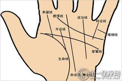 右手断掌手相图片_手相男断掌右手_女子右手断掌手相