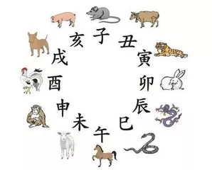 八字桃花运测试免费_八字桃花运旺的女人_桃花运 八字