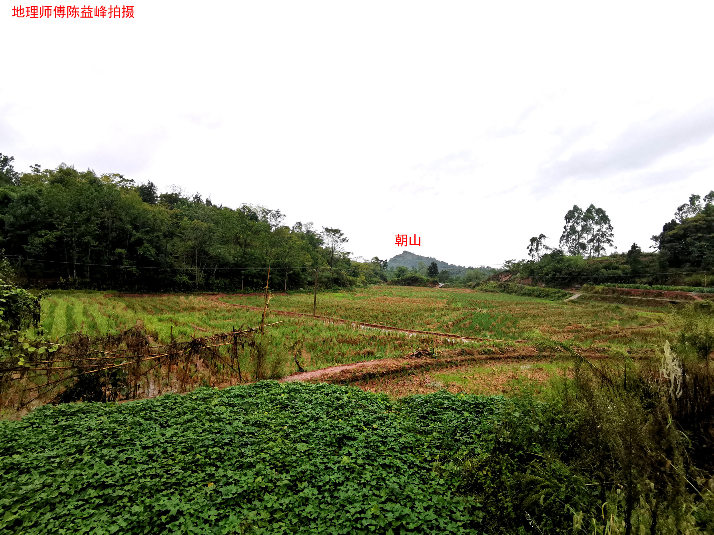 房子东边有排水沟好不好_房子东面有水沟好吗_楼房东北角有排水沟风水