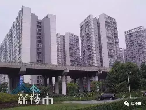 办公室风水植物摆放风水禁忌_楼房风水禁忌_买楼房风水有哪些禁忌