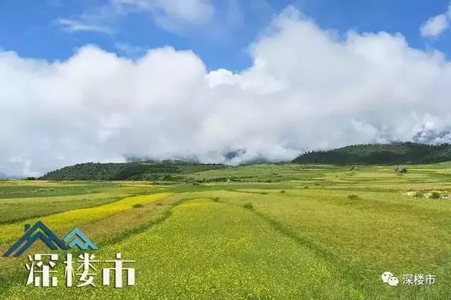 办公室风水植物摆放风水禁忌_楼房风水禁忌_买楼房风水有哪些禁忌