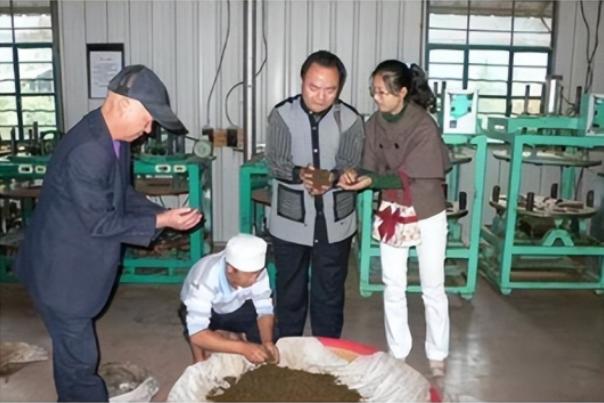 中医养生茶饮_茶养生与中医文化_中医茶疗养生