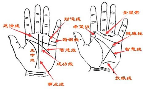 手相算命 准么_算命的手相_算命手相准不准