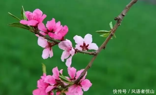 如何从生辰八字看什么时候走桃花运呢？