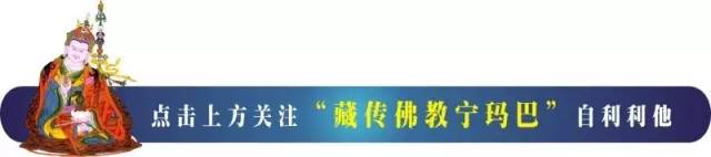 什么是严格素食主义（纯素）饮食？全面知识