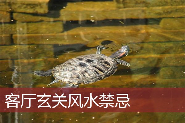 客厅玄关风水禁忌