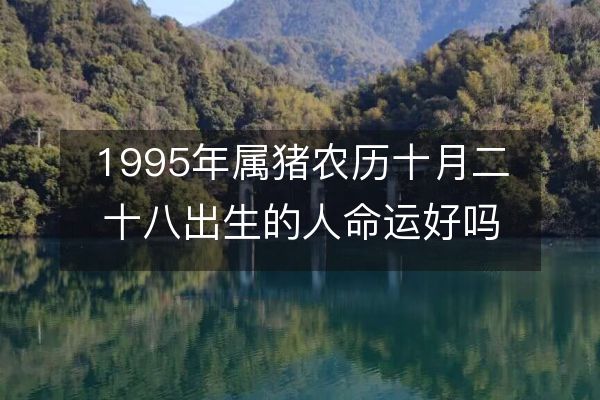 1995年属猪农历十月二十八出生的人命运好吗,今日生辰八字