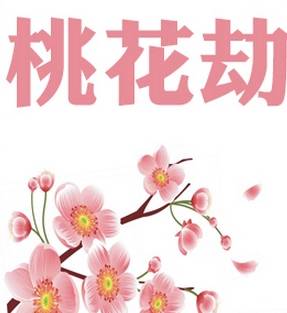 八字桃花运好的人_八字桃花运什么意思_有桃花运的八字