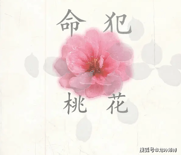 如何看八字桃花命_桃花命的八字_命理八字桃花