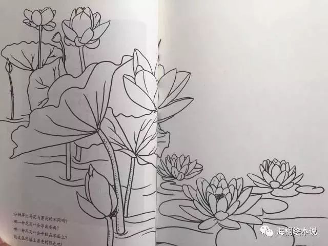 国学启蒙唐诗动画书有哪些_国学启蒙唐诗三百首_唐诗动画国学启蒙书有哪些