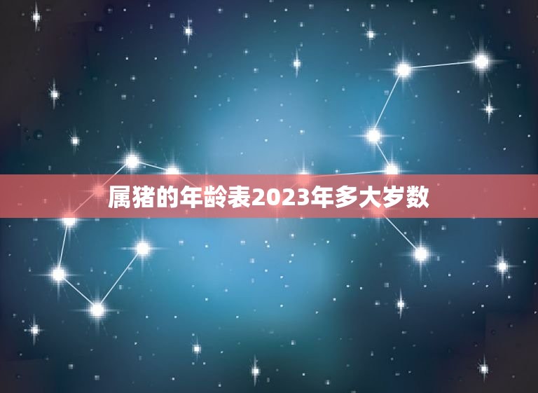 猪年 天干地支 属猪的年龄表在2023年会是怎样的呢？