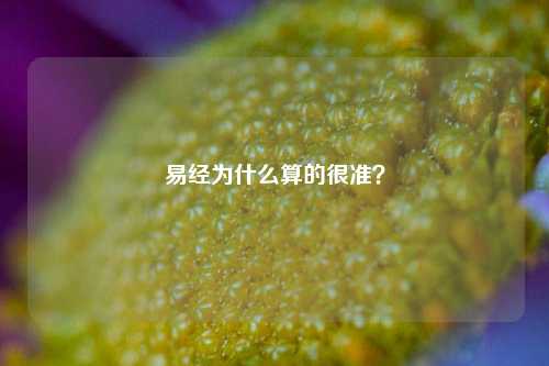 易经为什么算的很准？