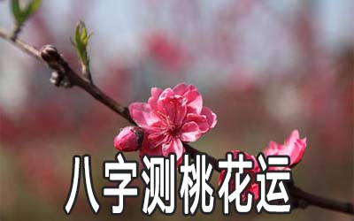 八字桃花免费_八字桃花免费测算_在线八字桃花