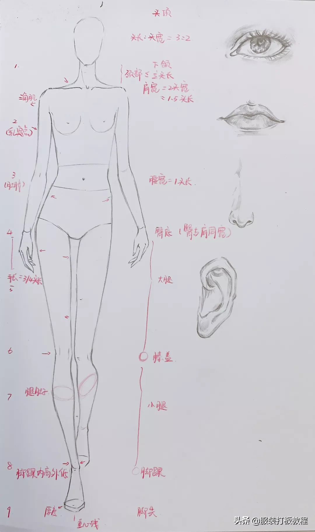 学习服装设计实际上就是掌握以下几个主要部分