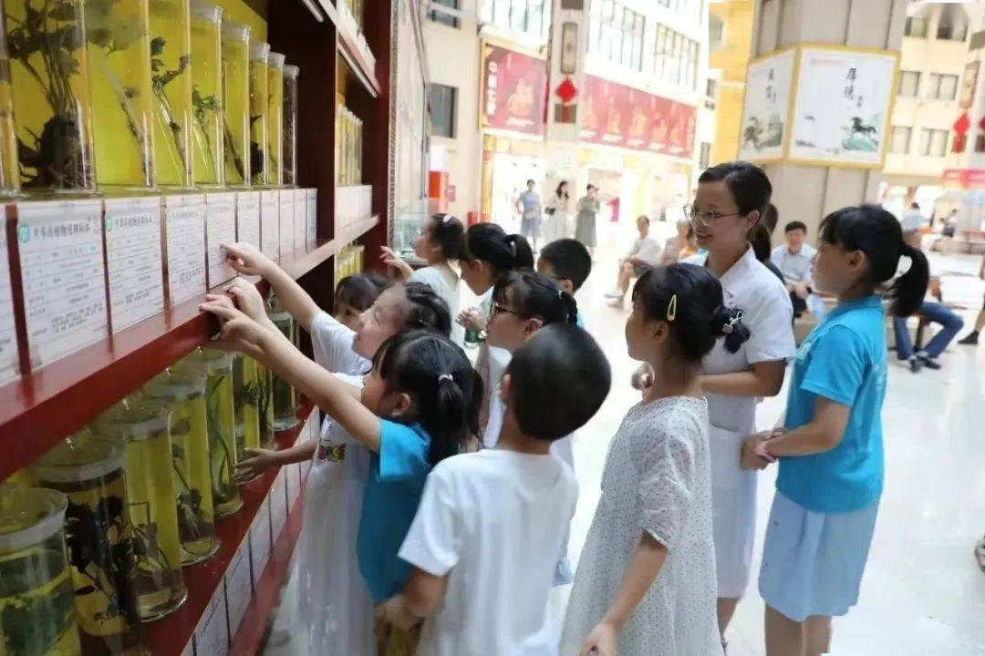 中医药文化特色元素_医药文化的特点_医药元素图片