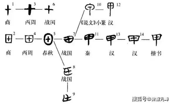 甲骨文天干地支_天干地支的甲骨文字_天干地支甲骨文写法