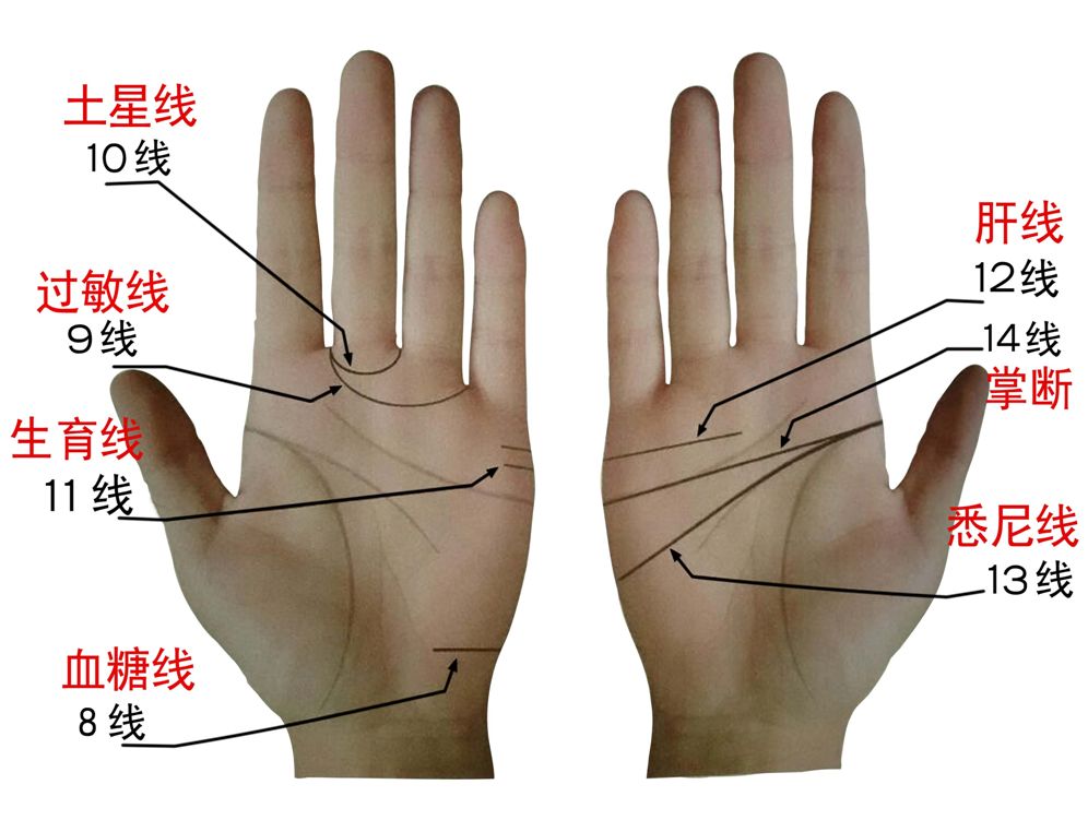 手相线条图解手掌的三条线正确图解
