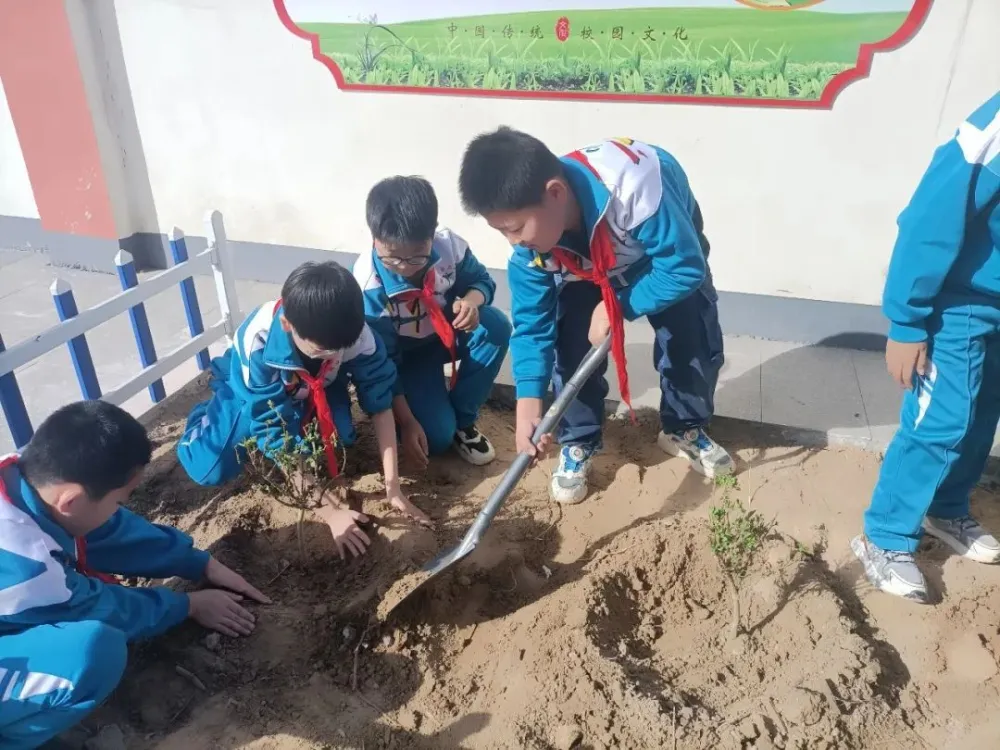 中医药文化朗诵词_关于医药的朗诵_朗诵中医药文化