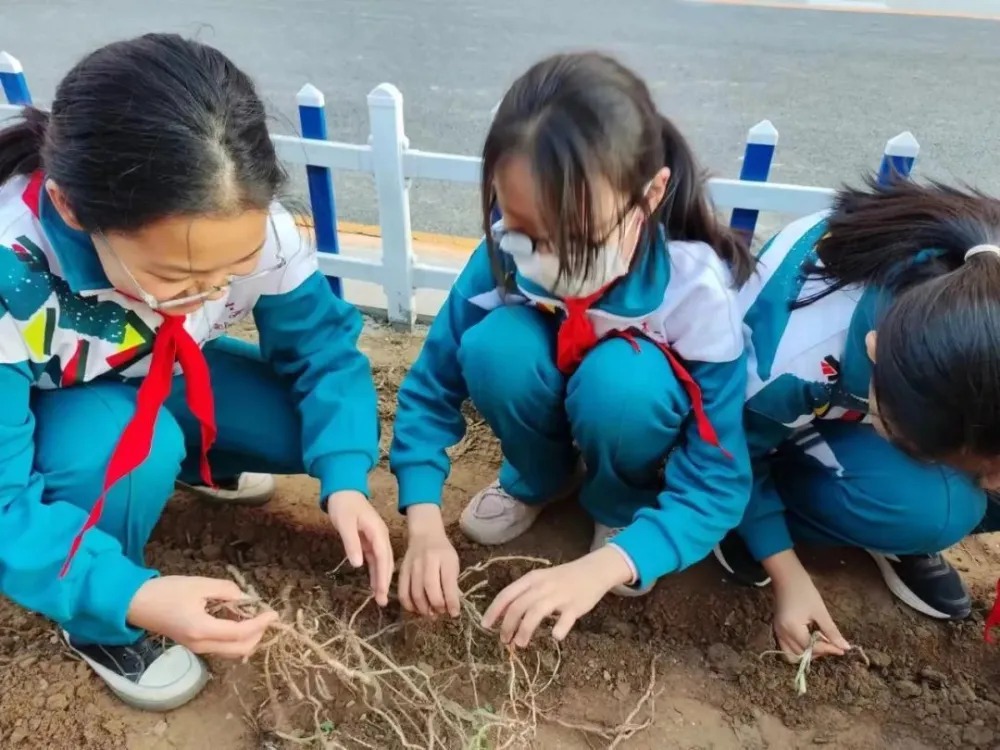 朗诵中医药文化_中医药文化朗诵词_关于医药的朗诵