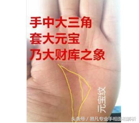 查看元宝纹手相图解_元宝手相图解大全图解_元宝手相解释