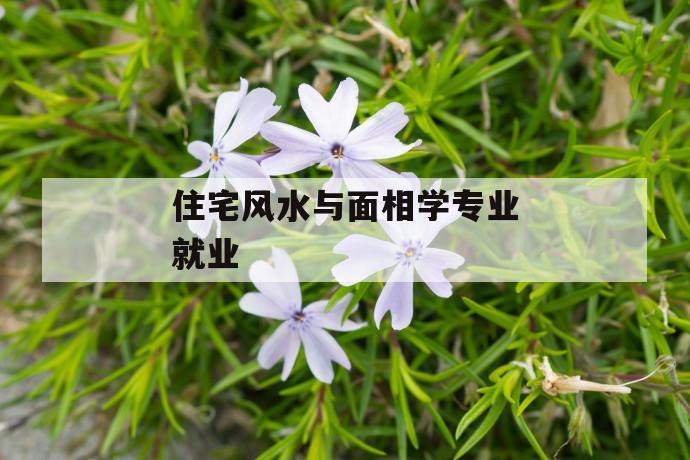 住宅风水与面相学专业的就业方向有什么区别？