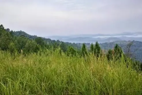 天干地支是年月日吗_天干地支年是以哪一天为起点_按天干地支是什么年