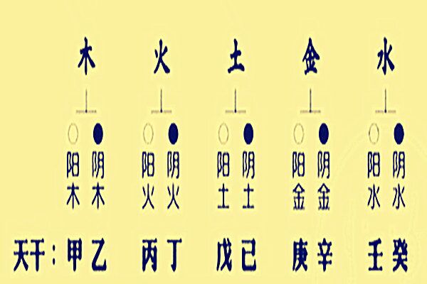 八字算学历免费_学算八字_八字算学历高低2023