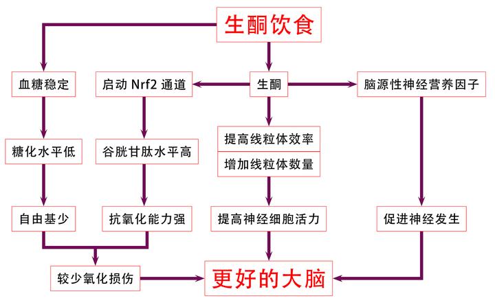 素食生酮饮食推荐_生酮饮食一月多少钱_生酮吃素