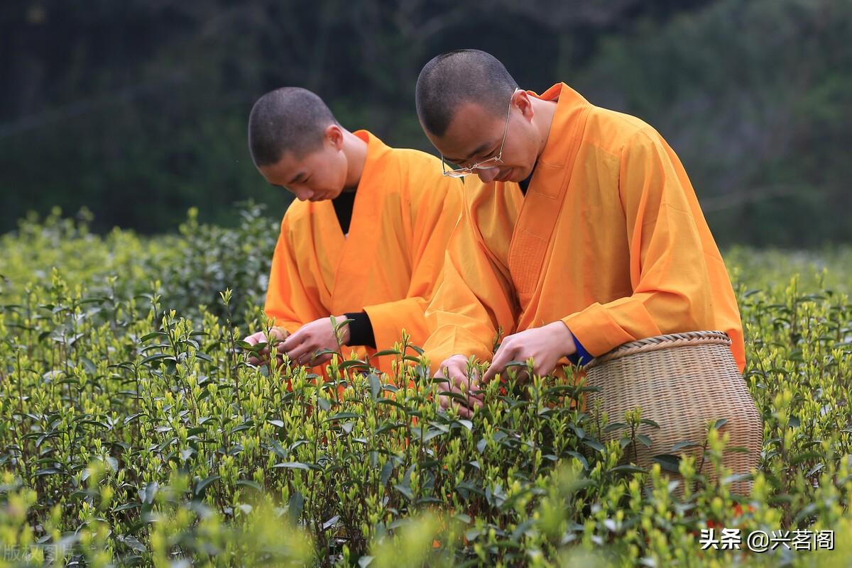 儒释道对茶道的解释_儒释道三家对茶文化的影响_儒释道三家文化中的茶