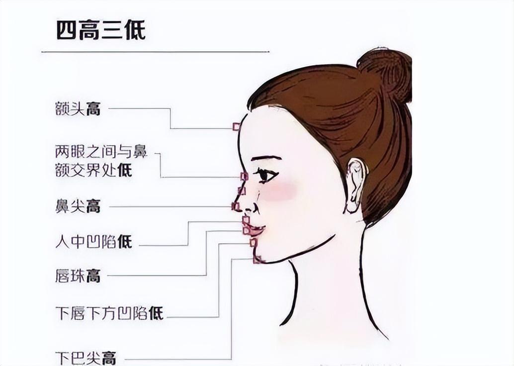 鼻孔面相学_鼻孔形状面相图解_面相图解鼻孔形状图片