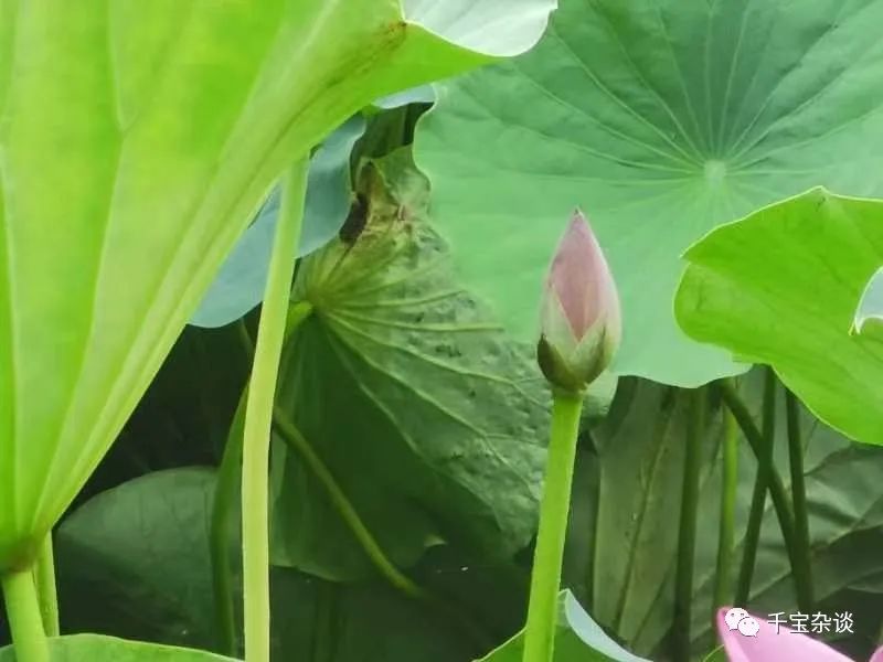 风水大门_风水大门的讲究_公司大门风水化解