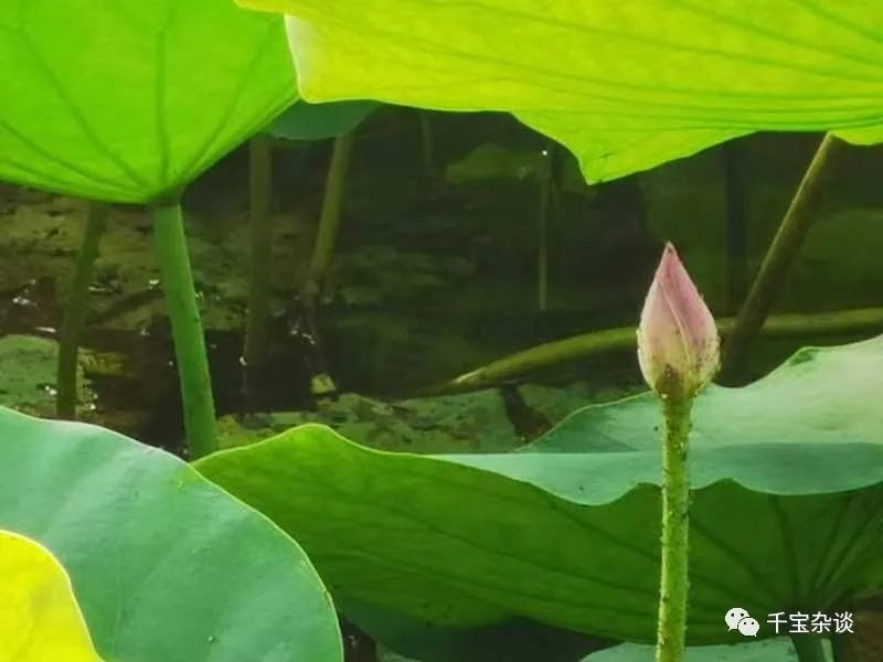 公司大门风水化解_风水大门_风水大门的讲究